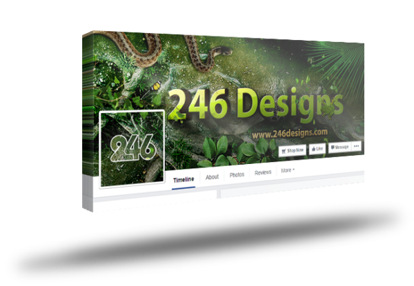 Facebook Cover Design 01007 246 Designs Inc 4430